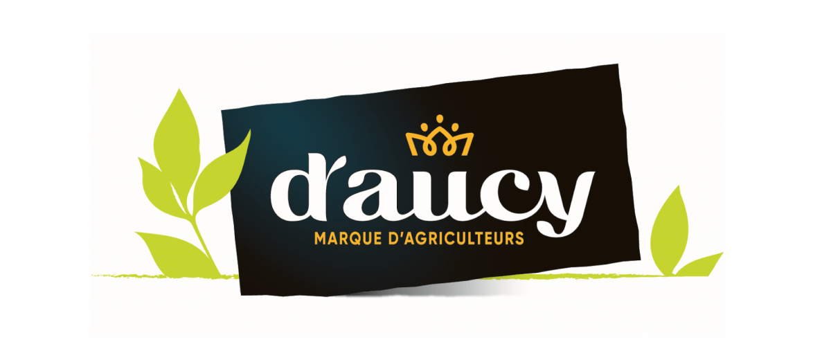 logo-daucy-def-reduit-1-1200x520